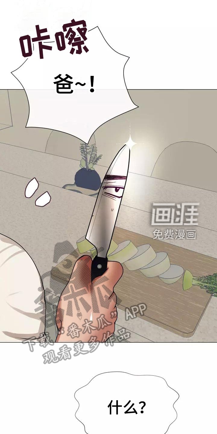 第11章：暂住