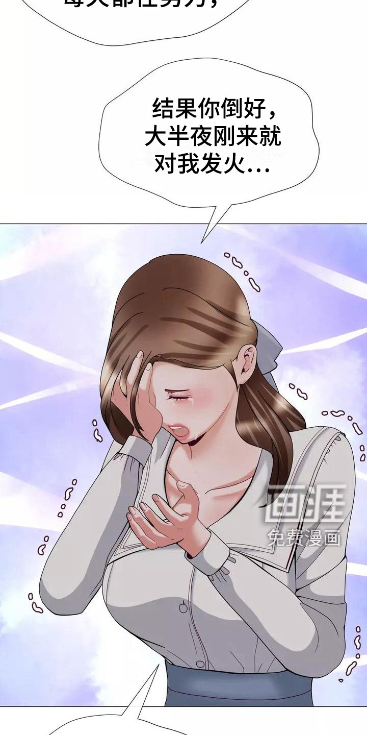 第19章：解释