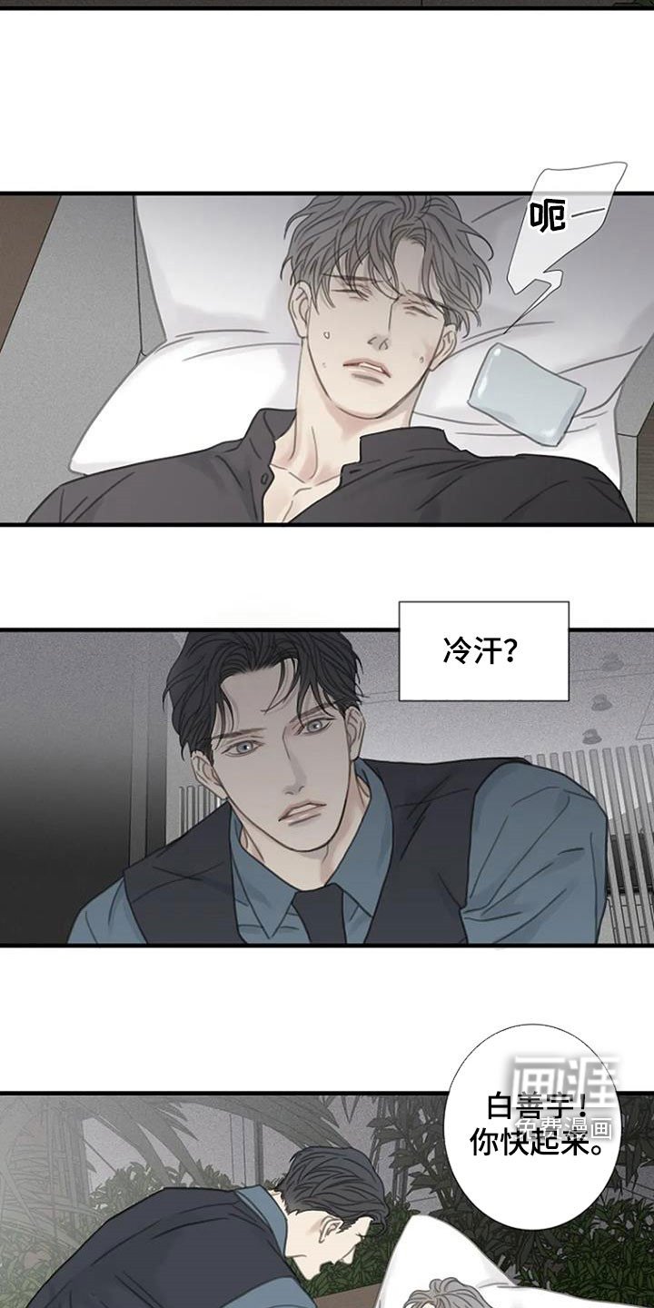 第27章：软柿子