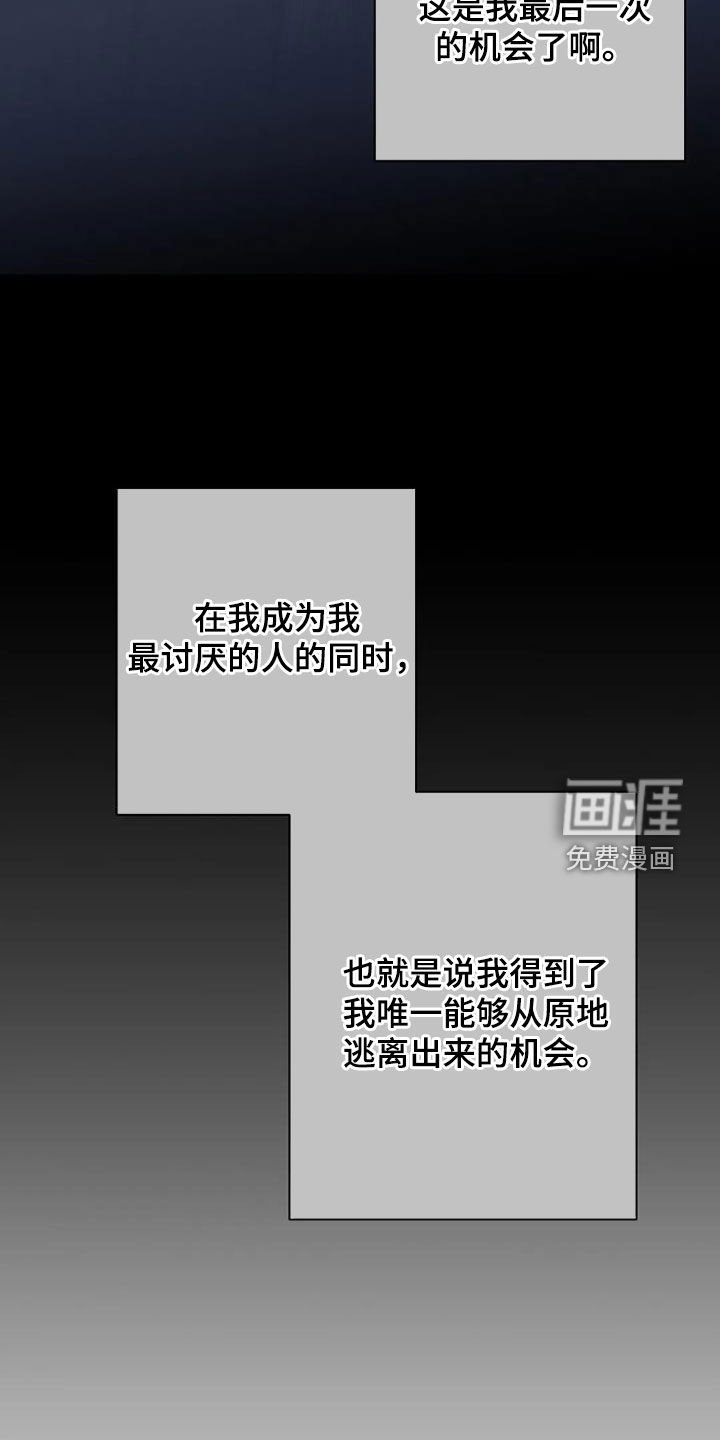 第71章：【第二季】樱花