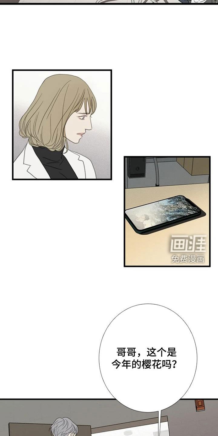 第71章：【第二季】樱花