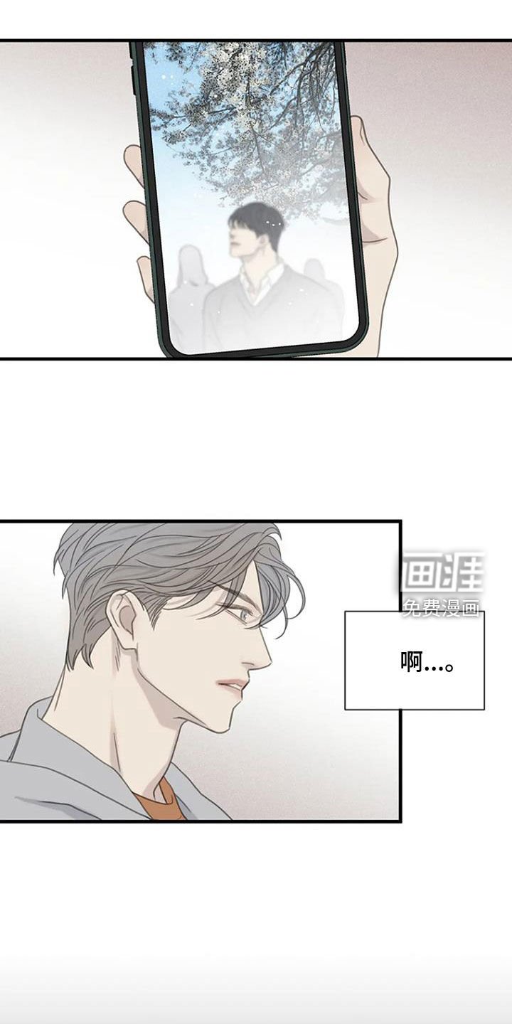 第71章：【第二季】樱花