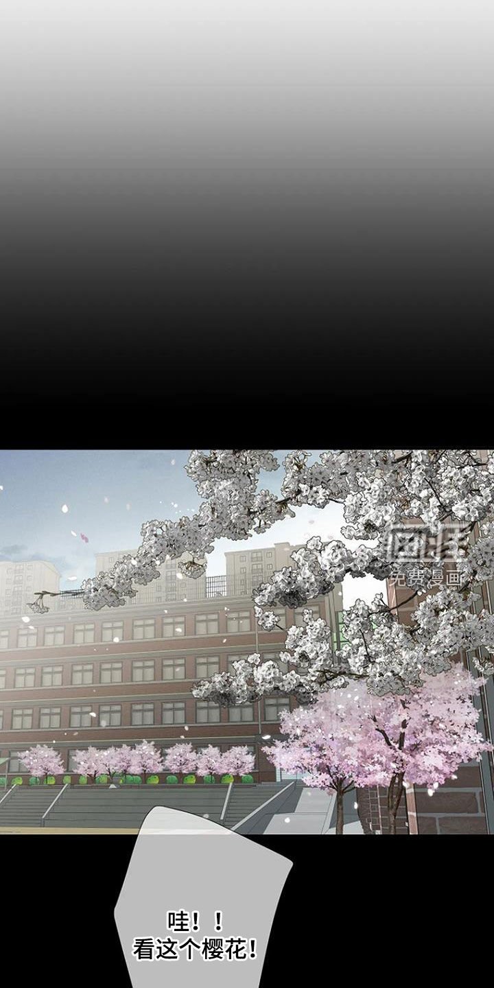第71章：【第二季】樱花