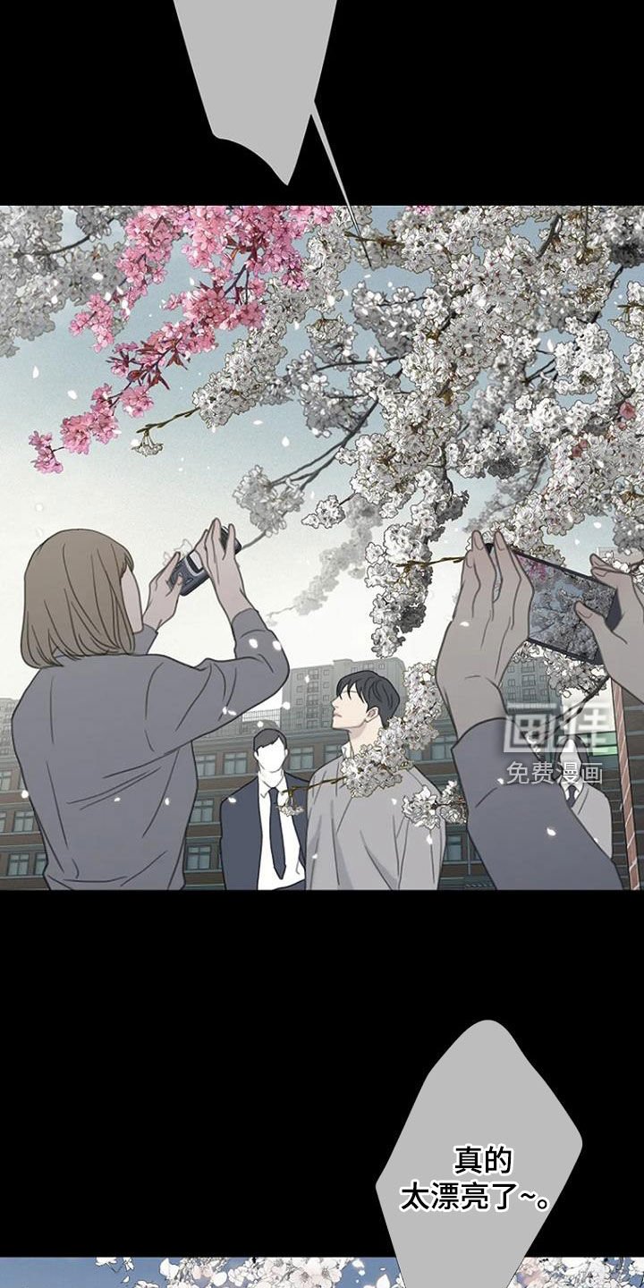 第71章：【第二季】樱花
