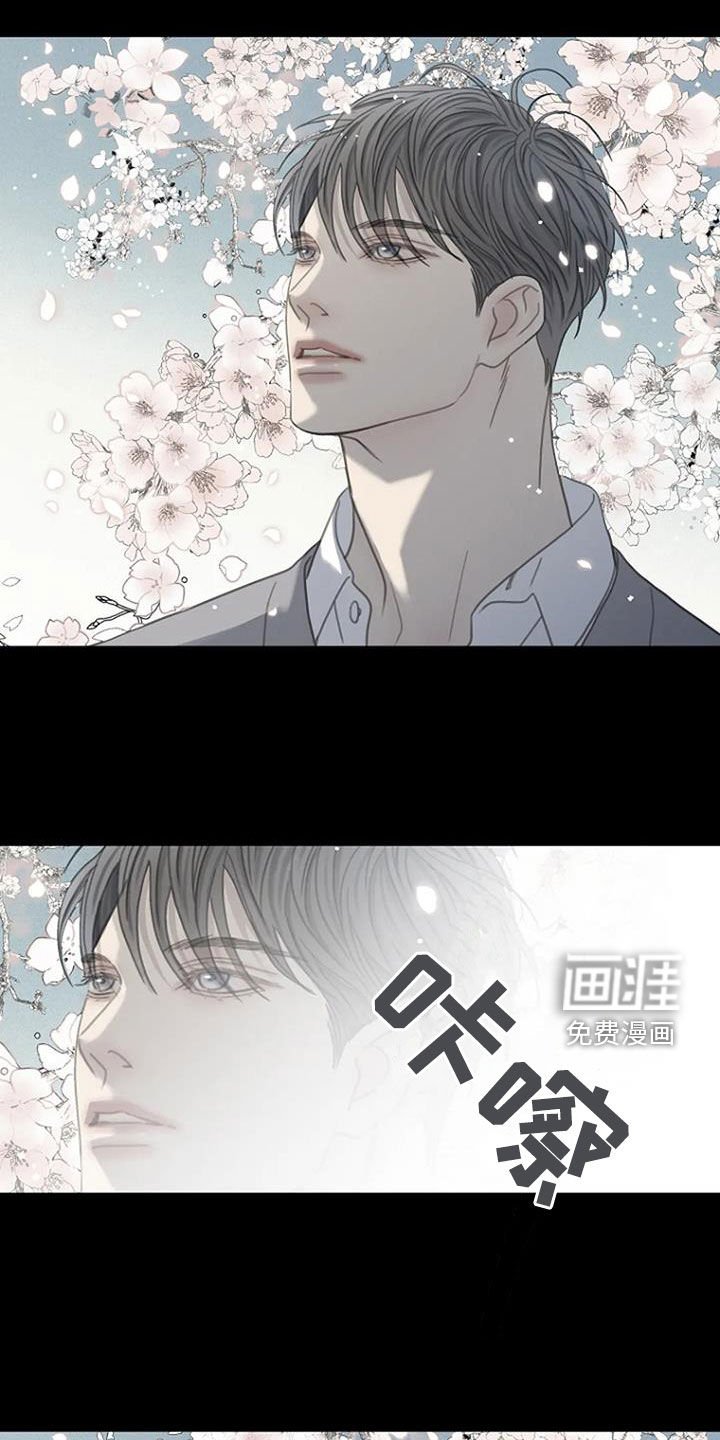 第71章：【第二季】樱花