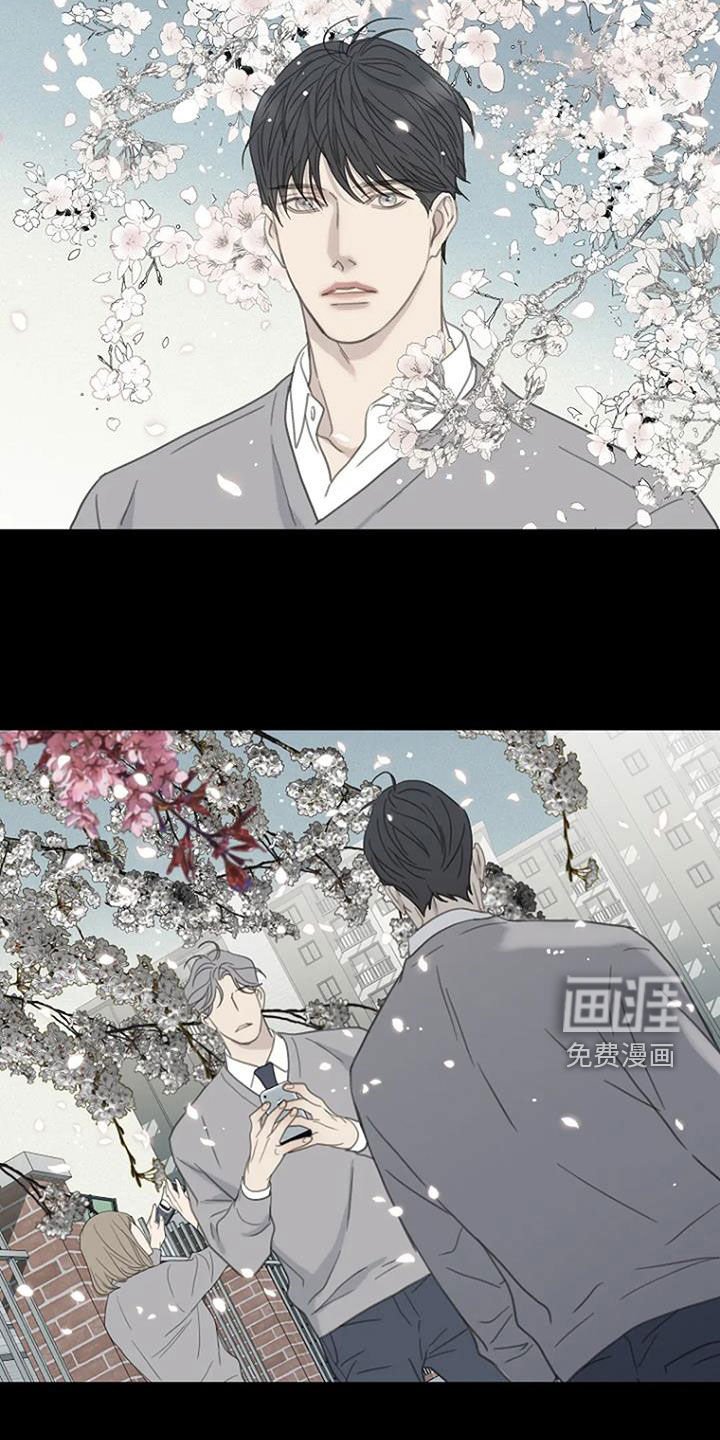 第71章：【第二季】樱花