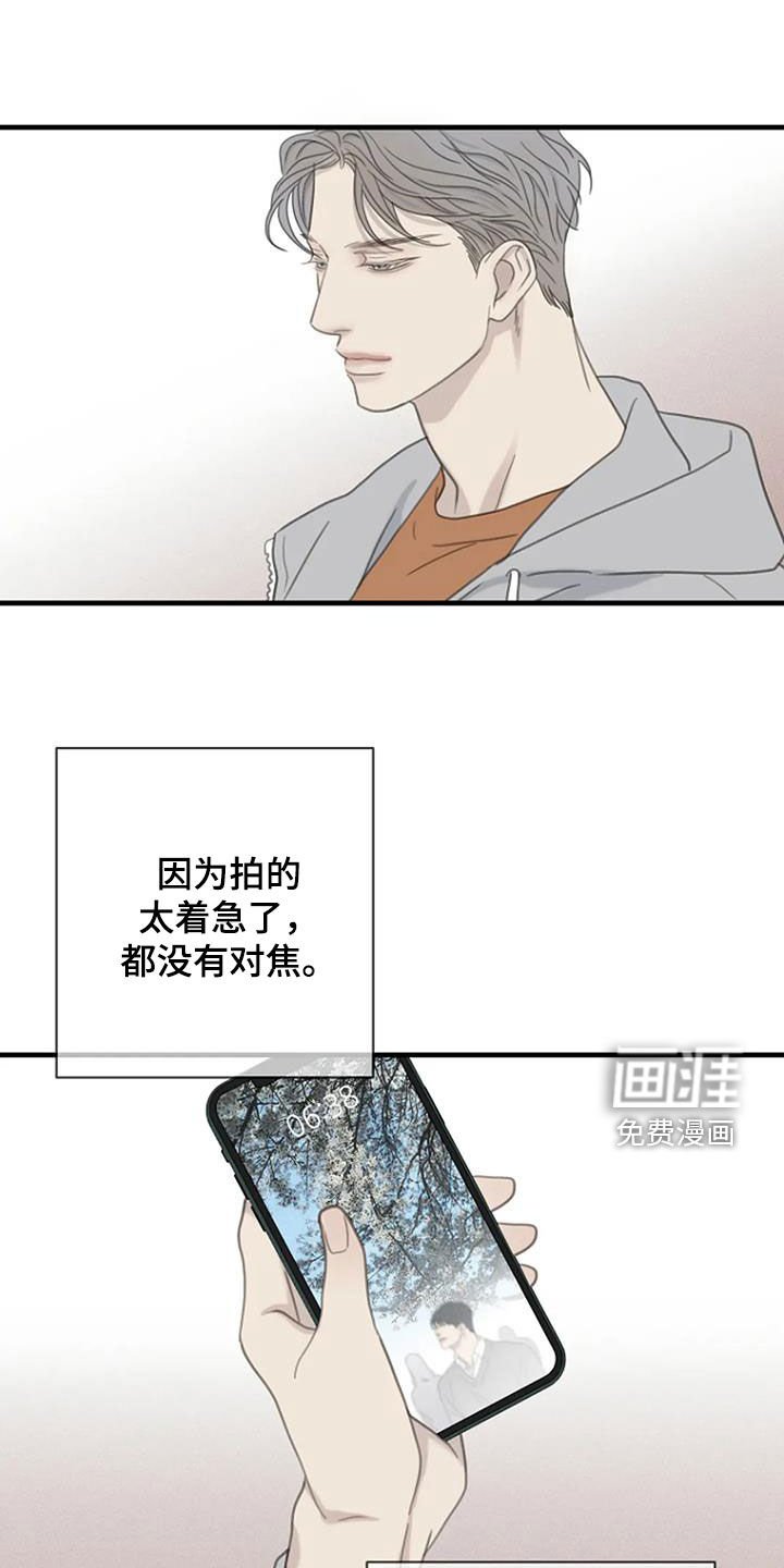 第71章：【第二季】樱花