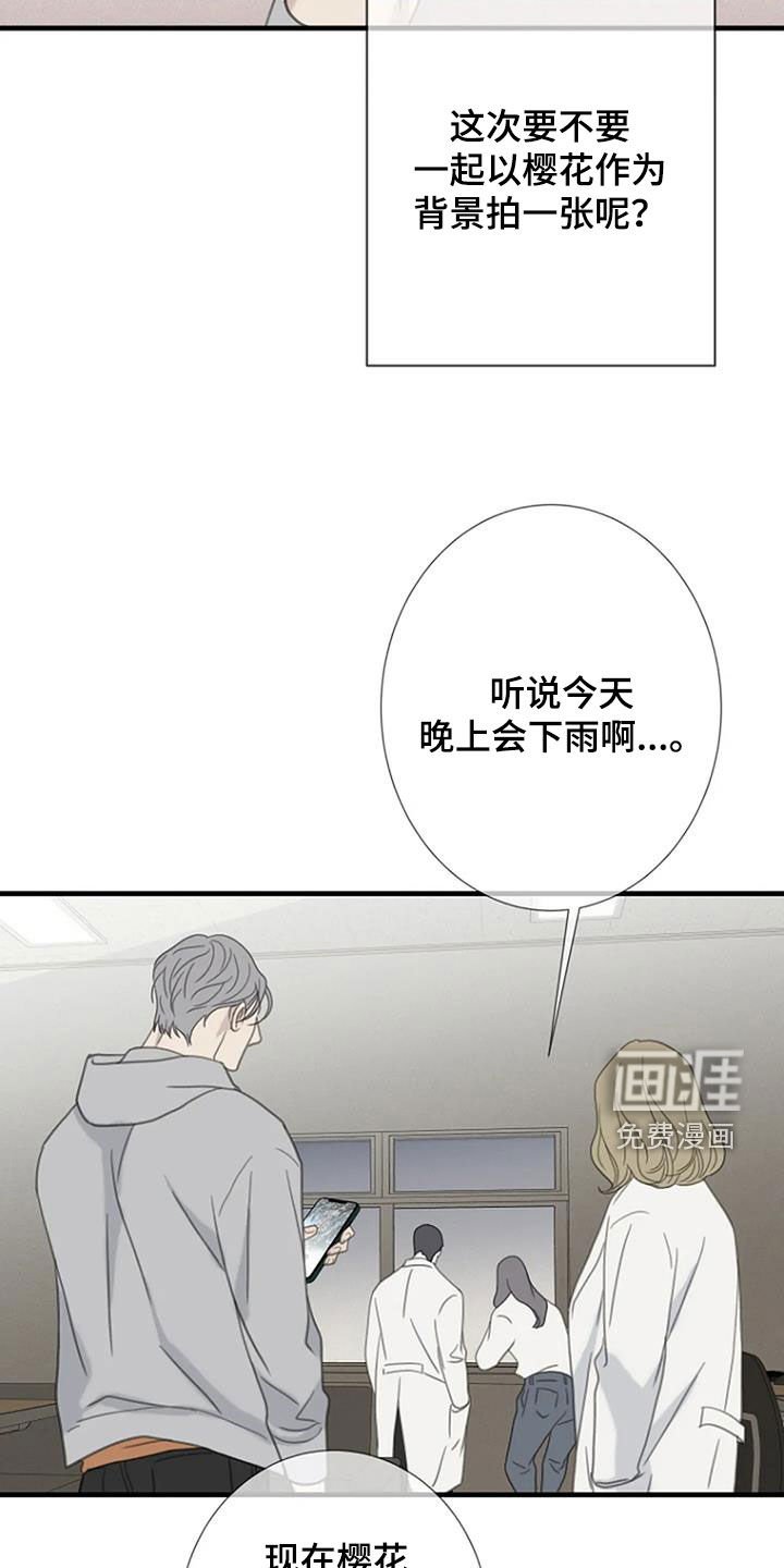 第71章：【第二季】樱花