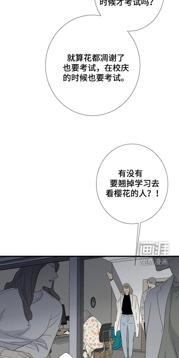 第71章：【第二季】樱花