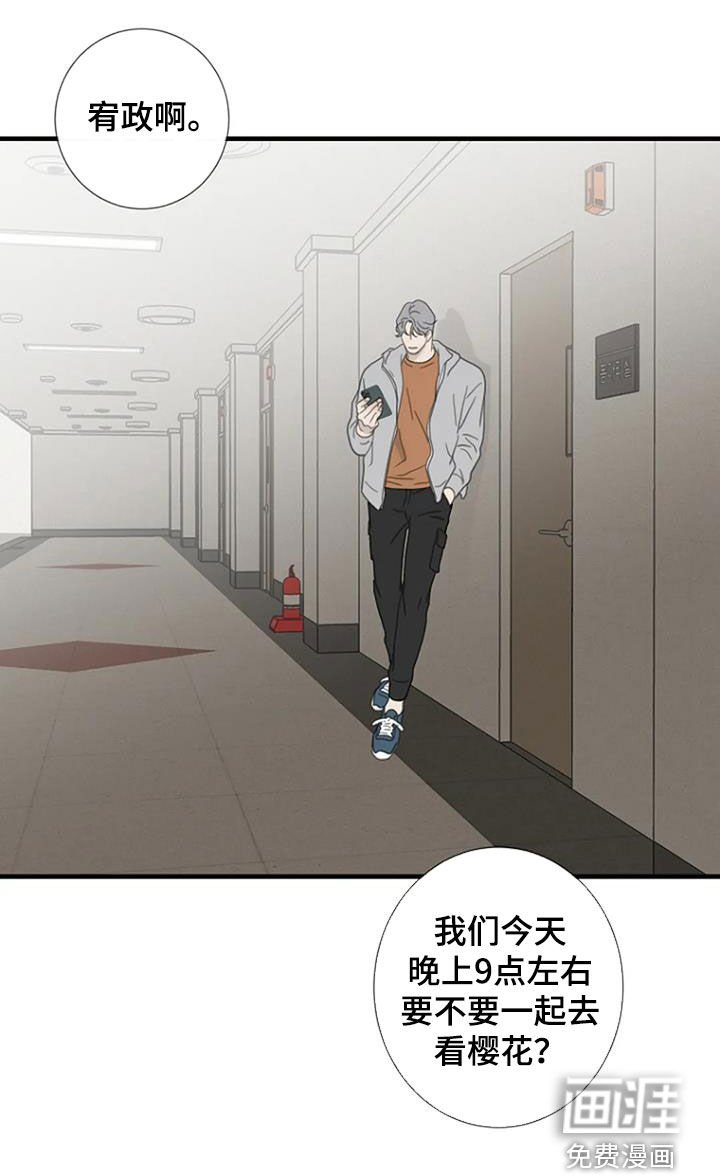 第71章：【第二季】樱花