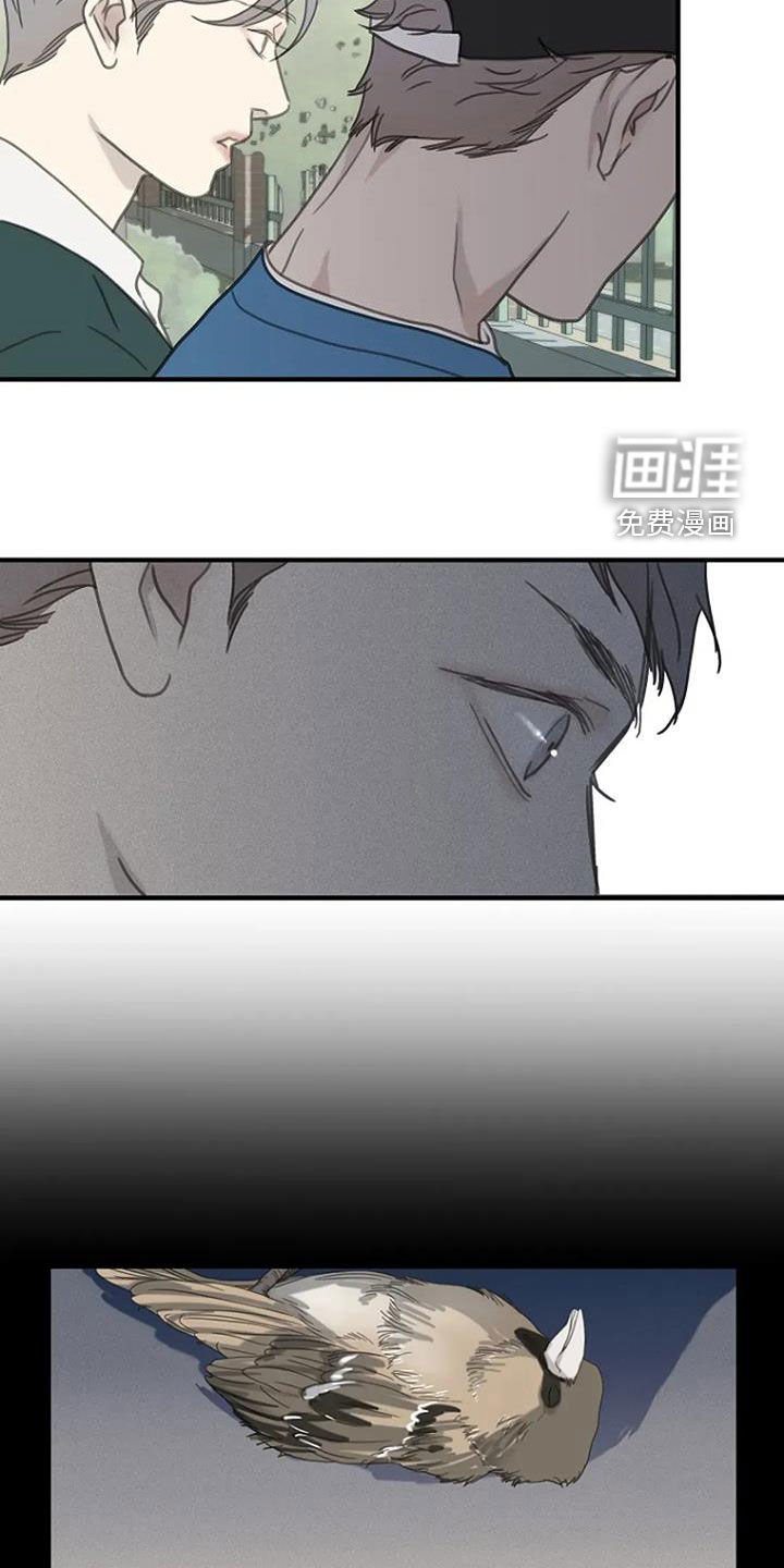 第91章：【第三季】是你干的