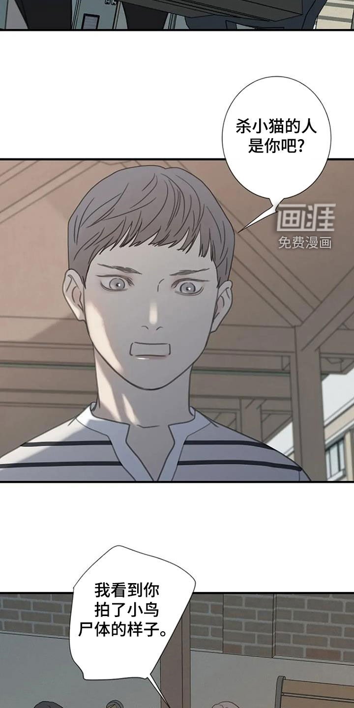 第91章：【第三季】是你干的