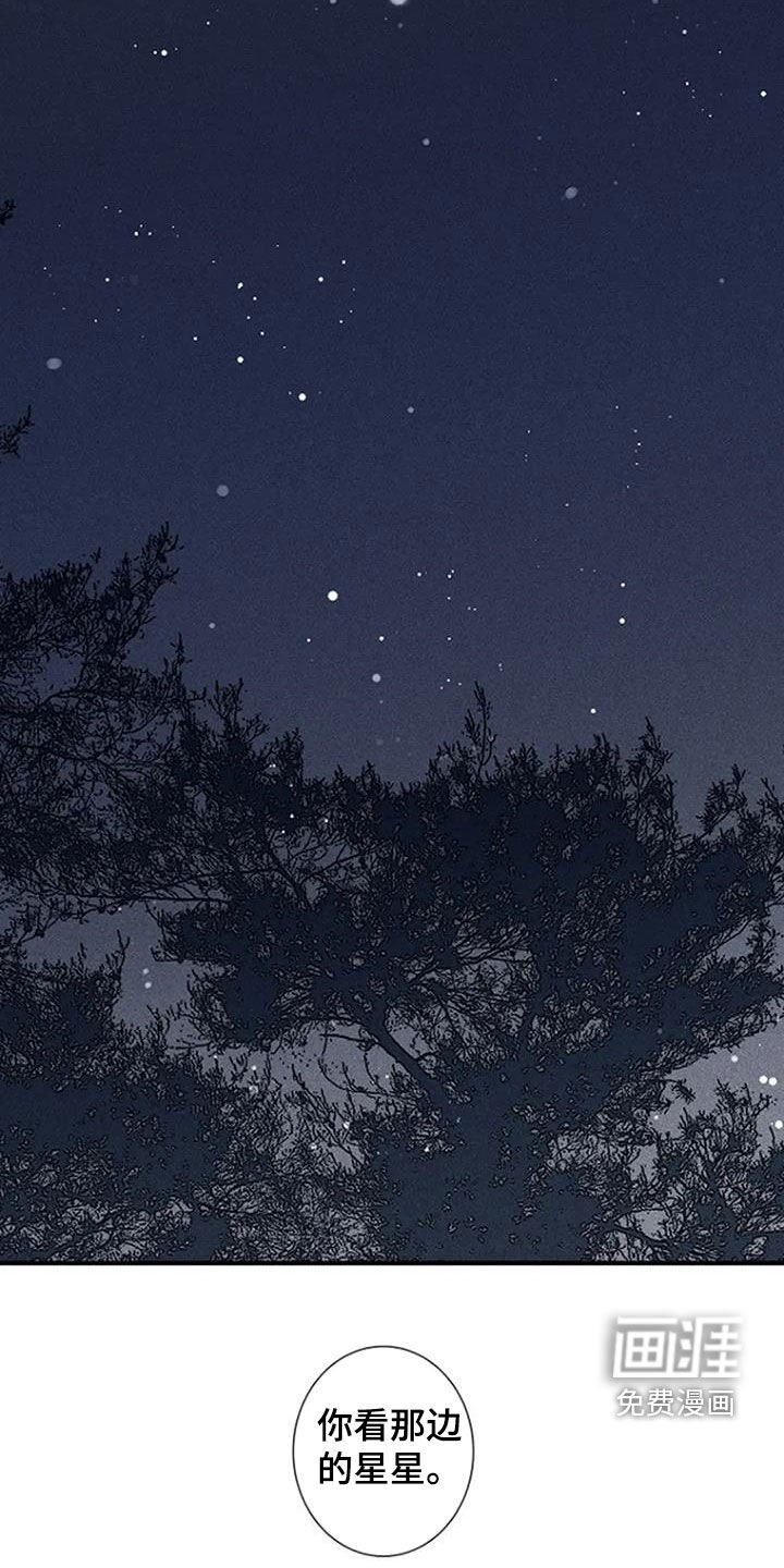 第94章：【第三季完结】看星星
