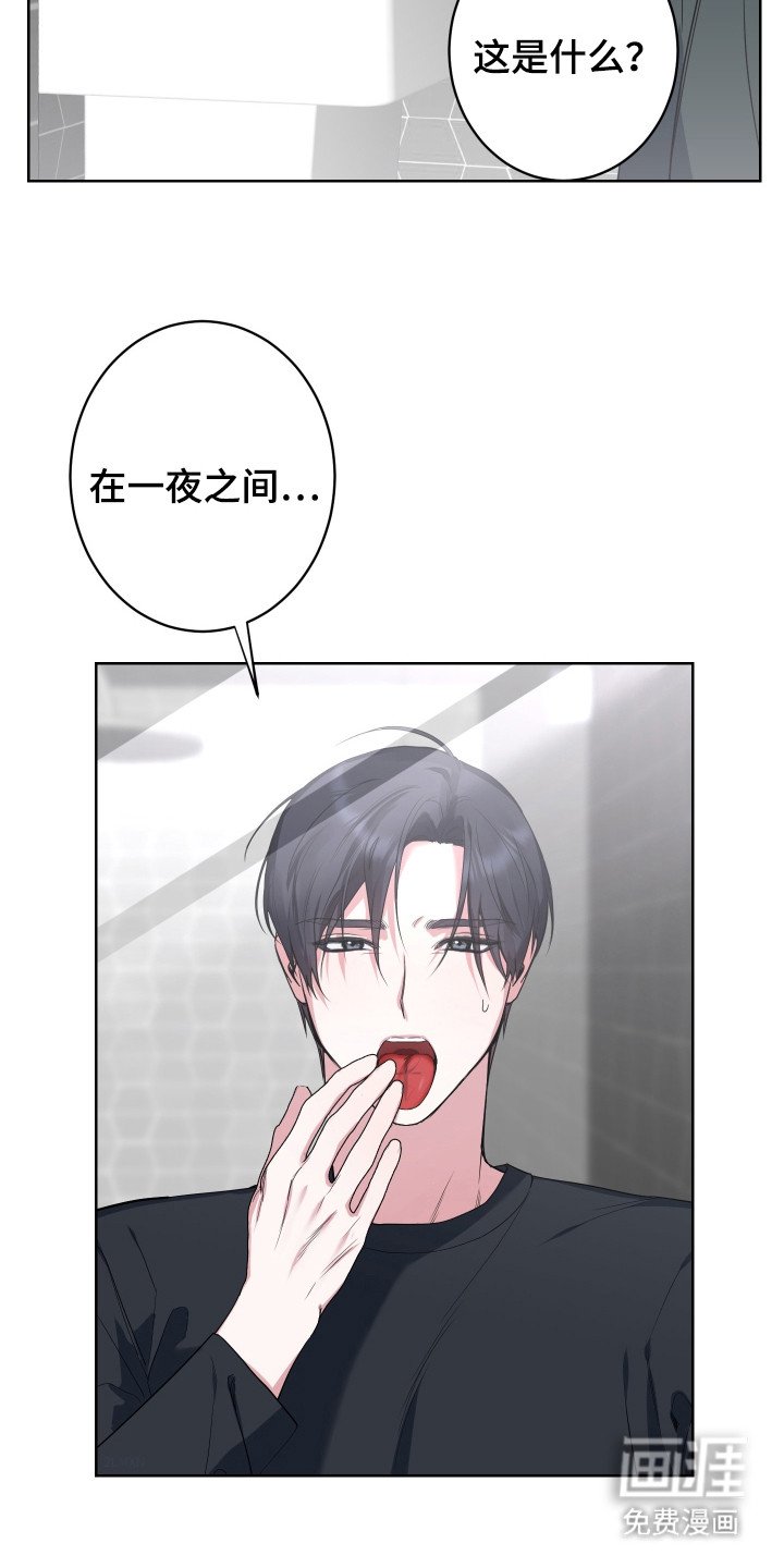 第1章： 酒吧