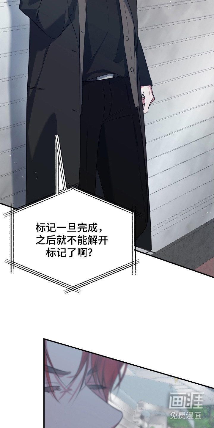 第16章：电话
