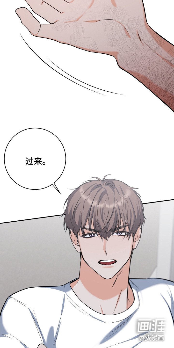 第20章：来接你了
