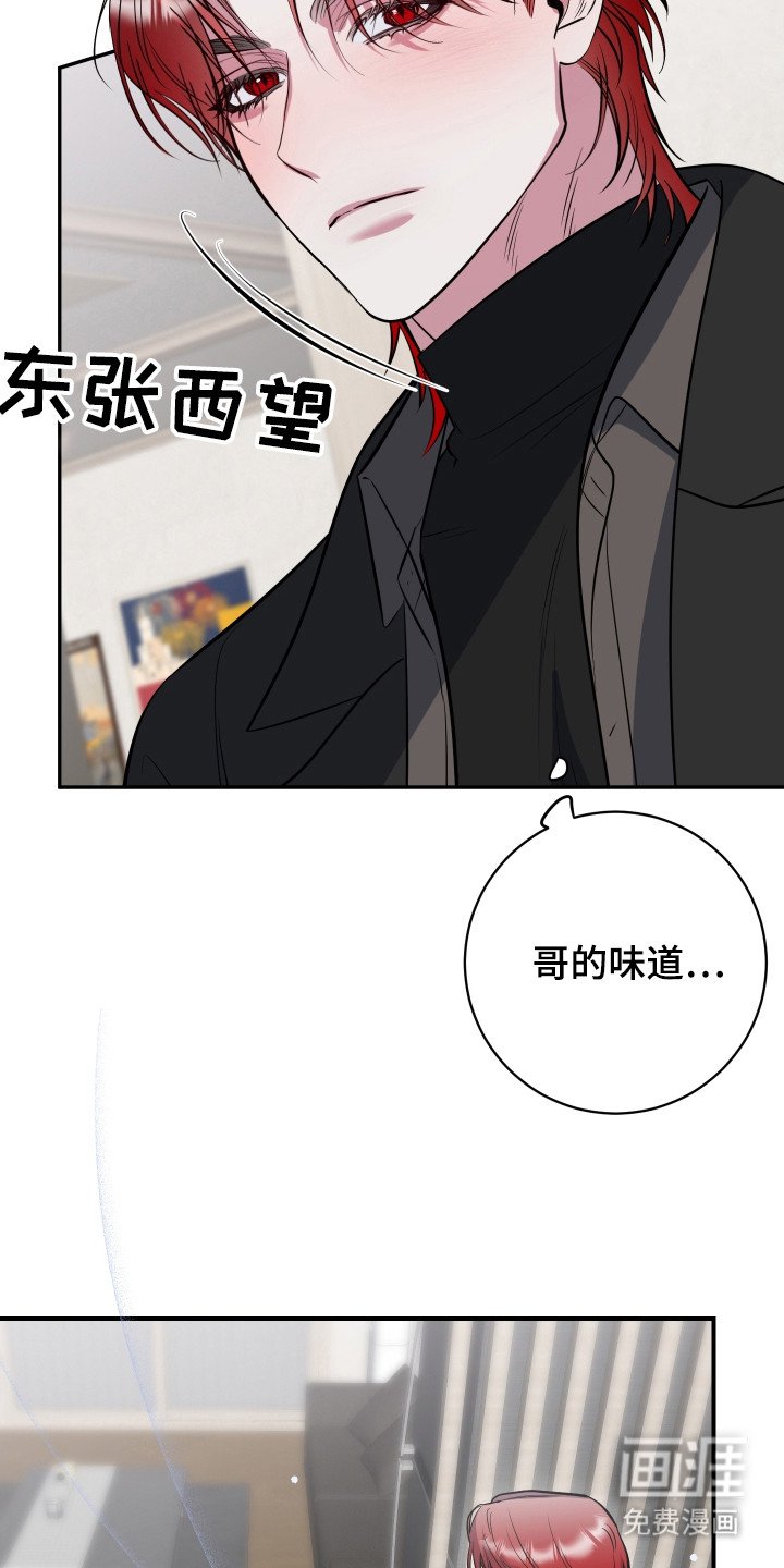 第21章：抉择
