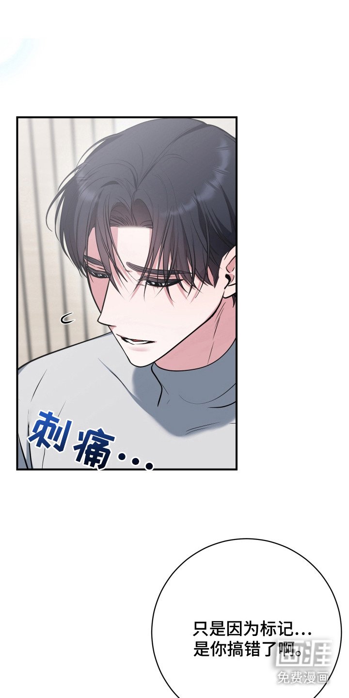 第22章：真实想法（完结）