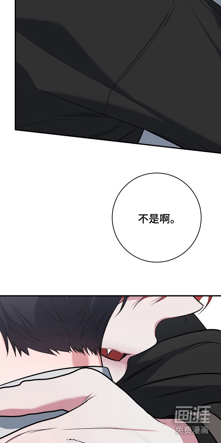 第22章：真实想法（完结）