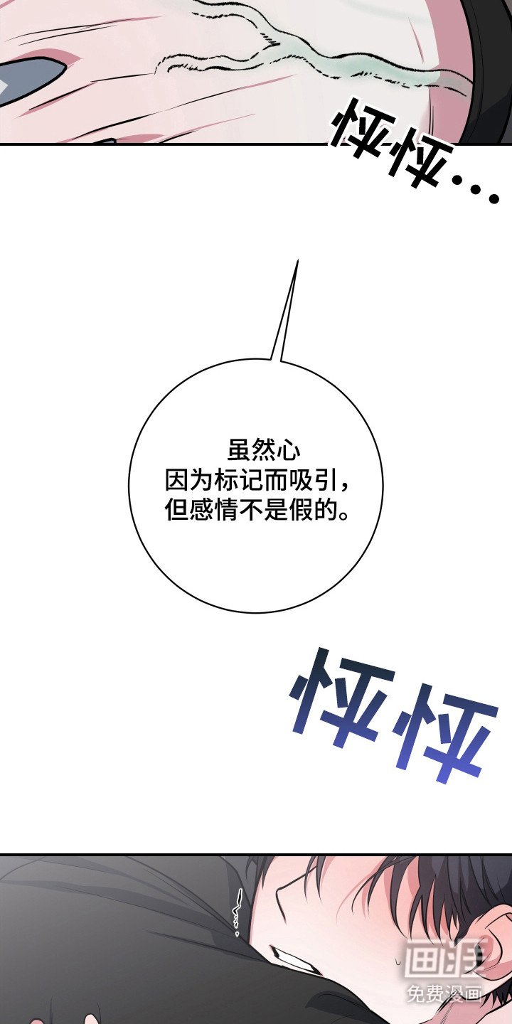 第22章：真实想法（完结）