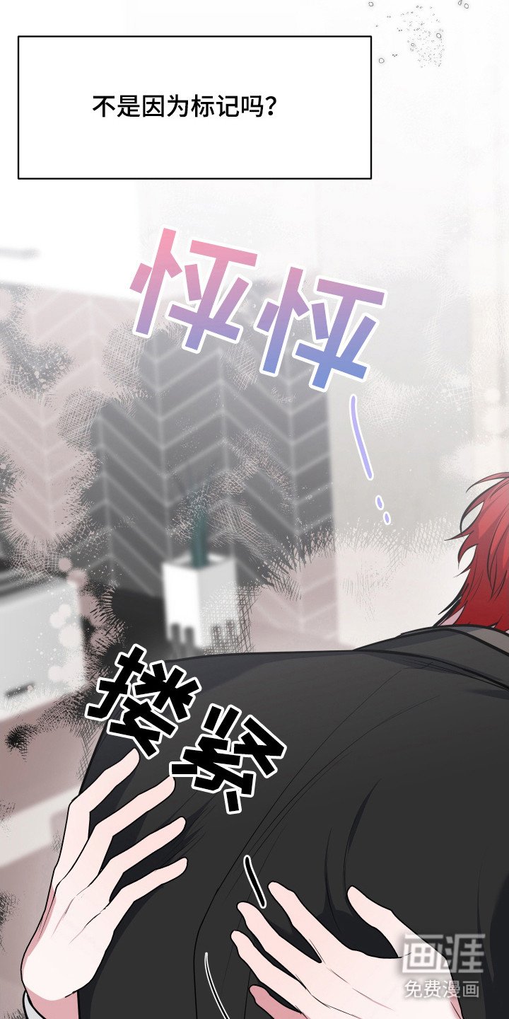 第22章：真实想法（完结）