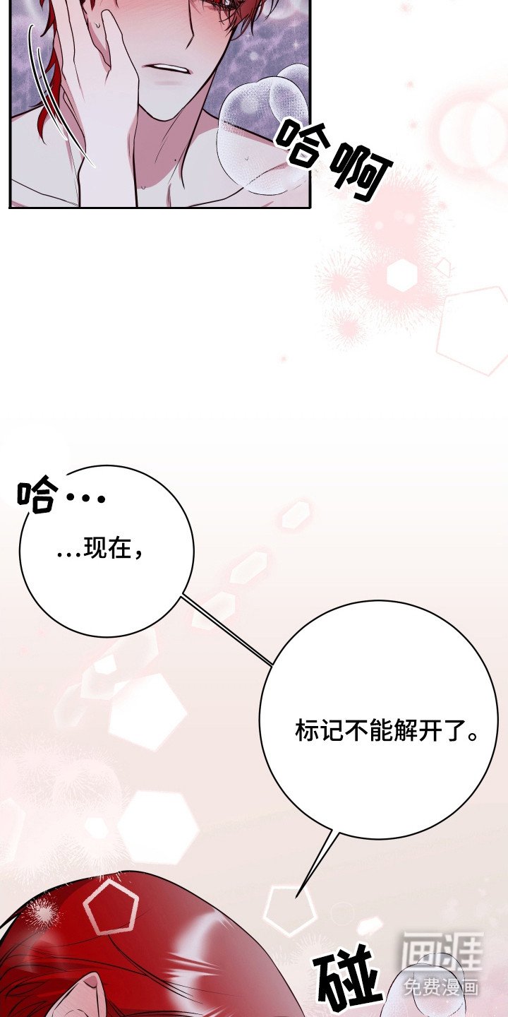 第22章：真实想法（完结）