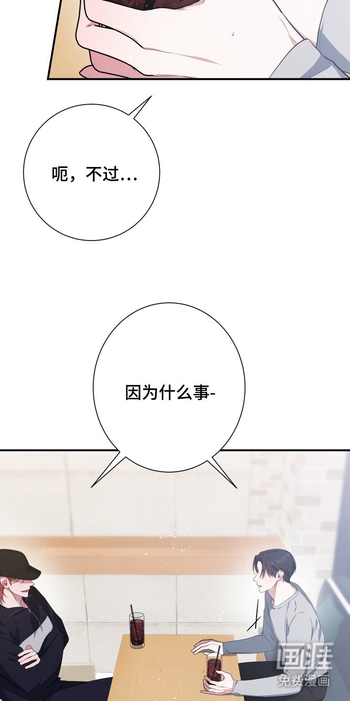 第4章： 提议
