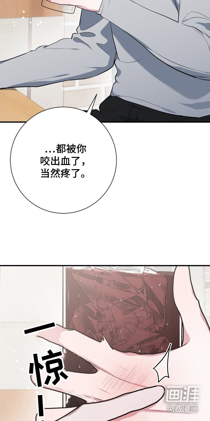 第4章： 提议