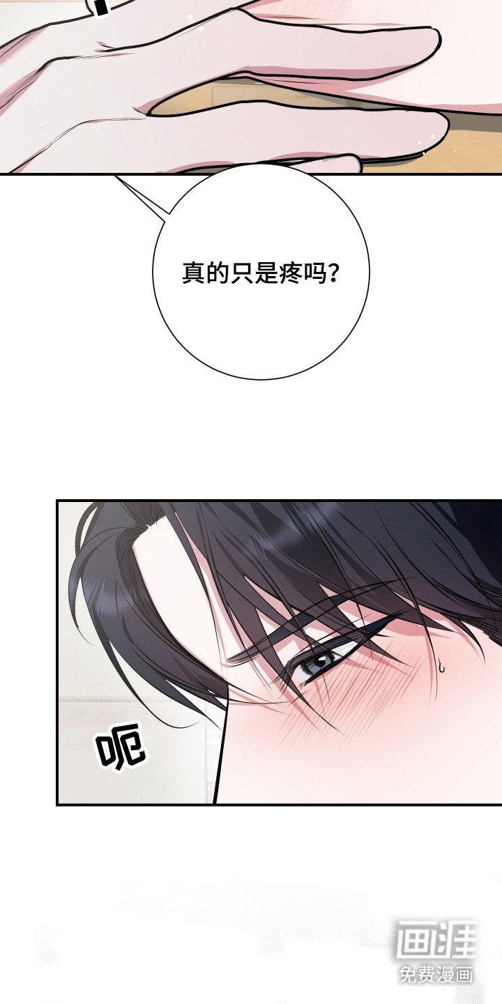 第4章： 提议