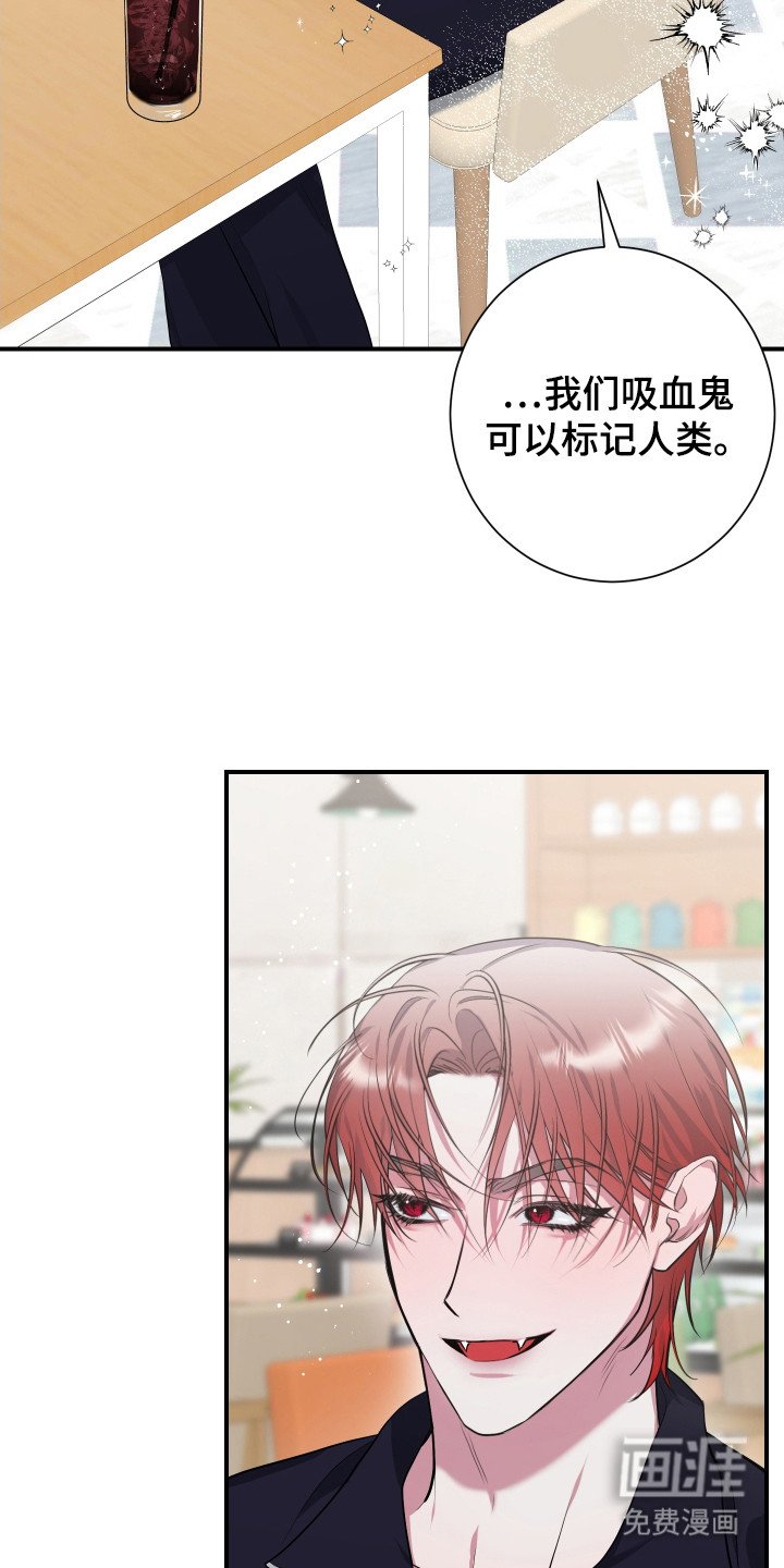第4章： 提议
