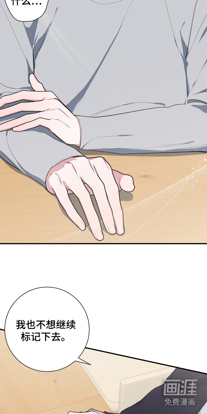 第4章： 提议