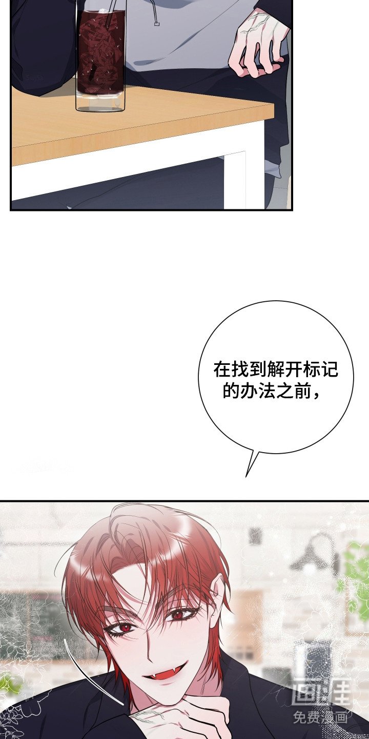 第4章： 提议