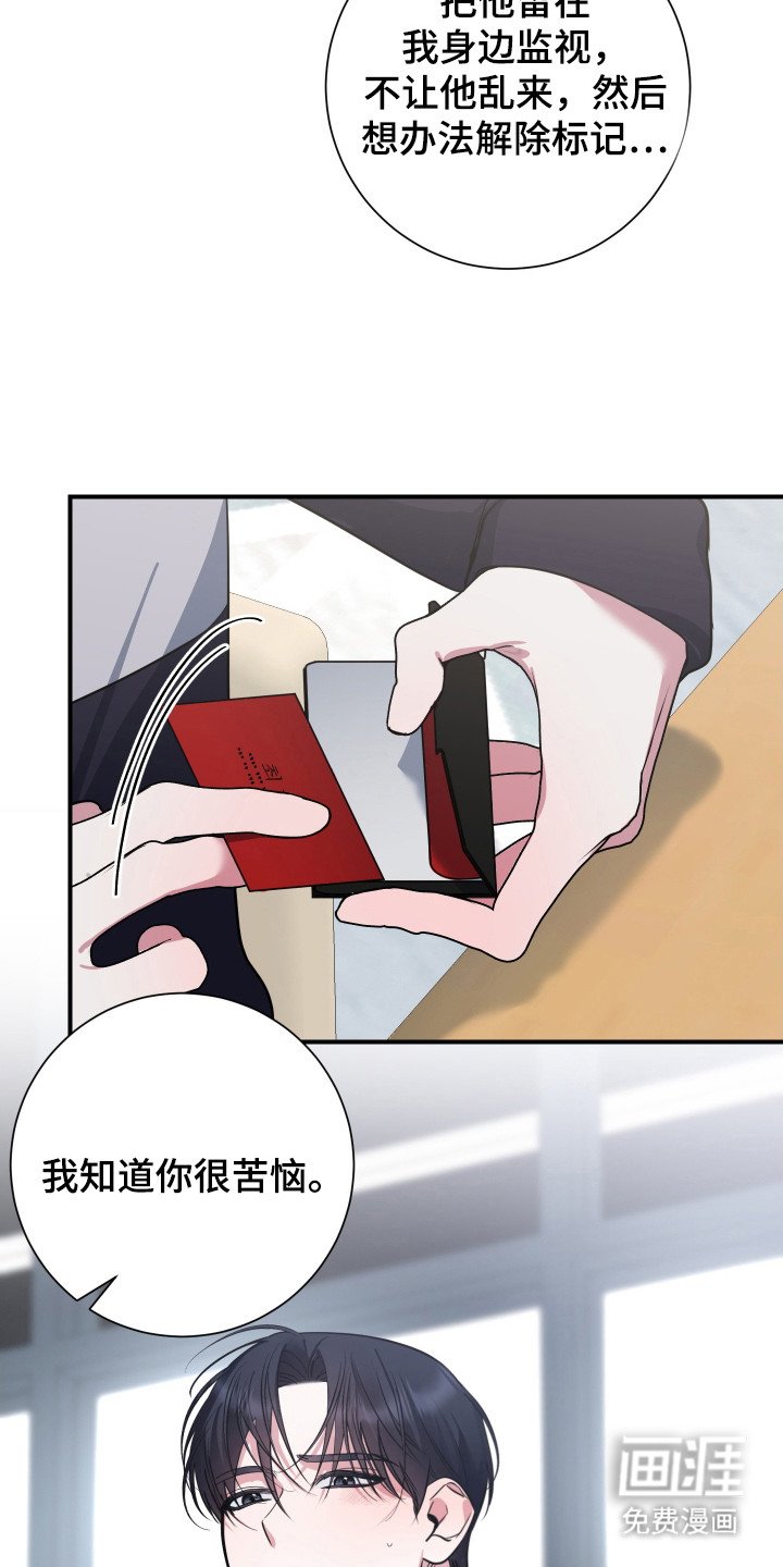 第6章：后续影响