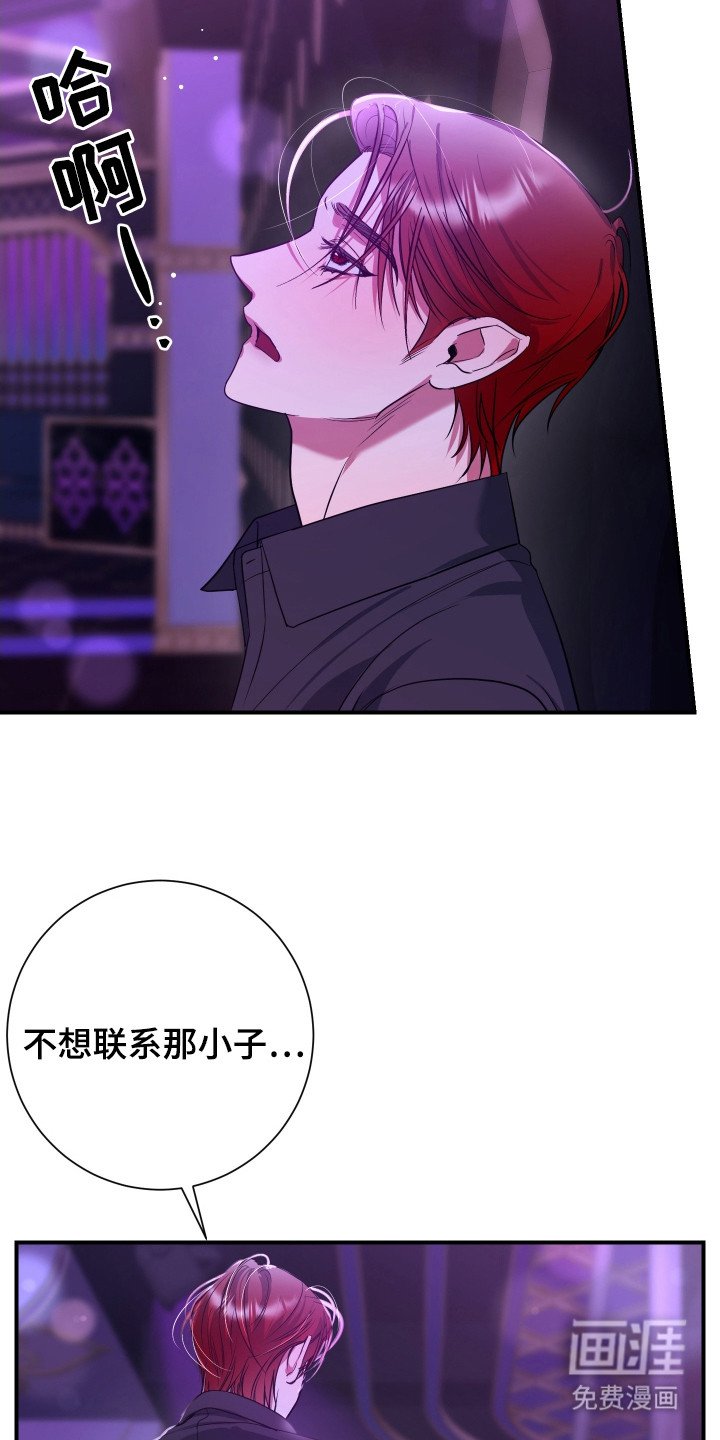 第6章：后续影响