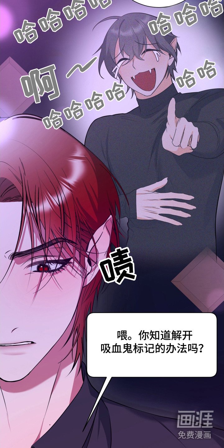 第6章：后续影响