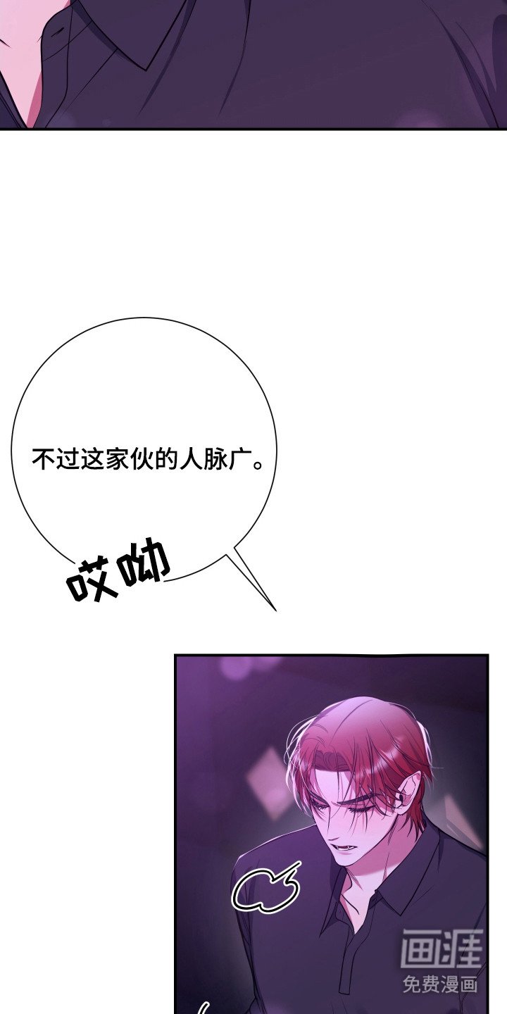 第6章：后续影响