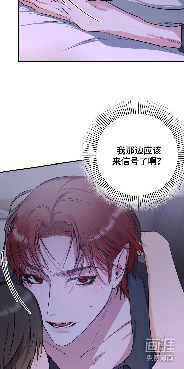 第6章：后续影响
