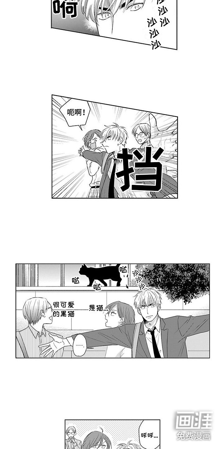 第13章：骑士