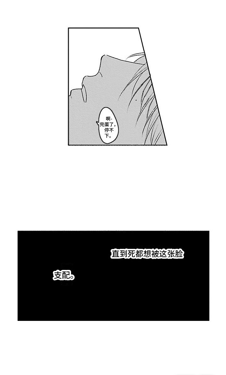 第20章：【番外1】自己的脸 