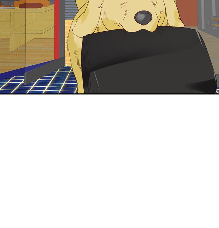 第16章：
