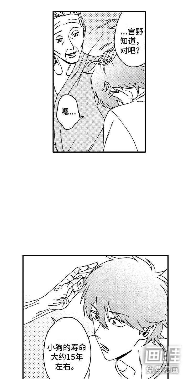 第13章：还想继续