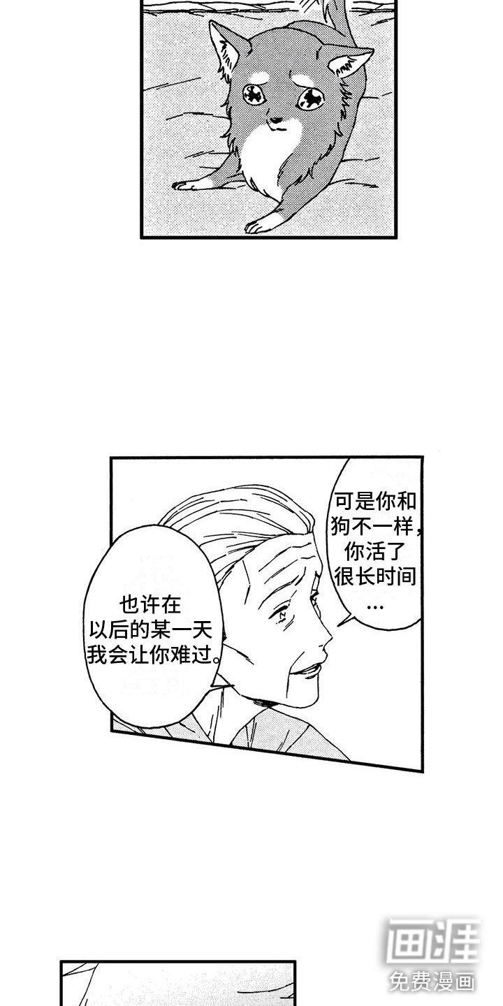 第13章：还想继续