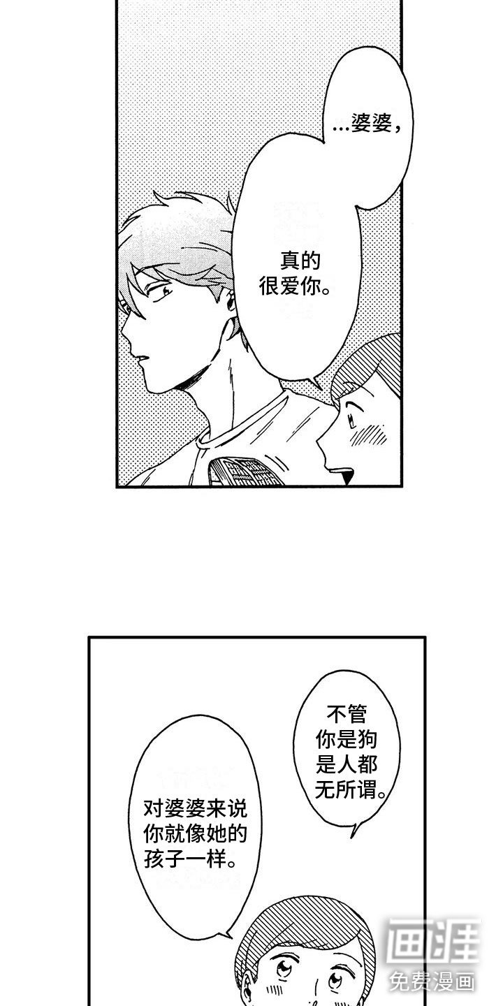 第14章：冲动