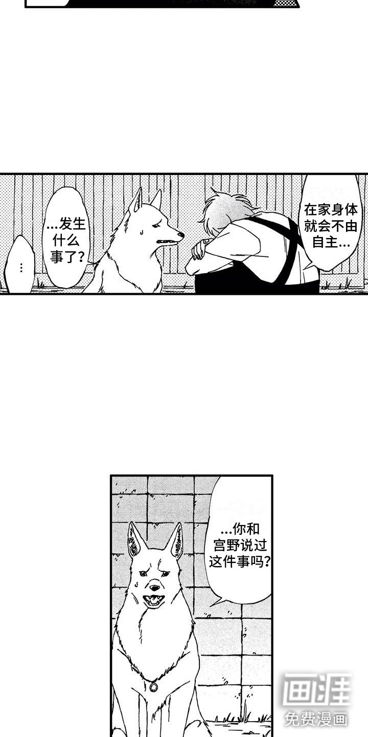 第16章：我伤害了他