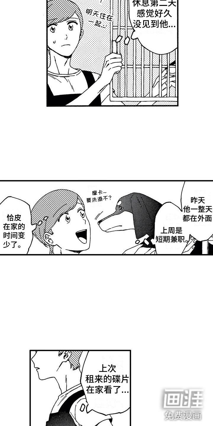 第17章：逃避