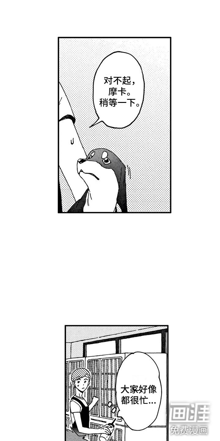 第17章：逃避