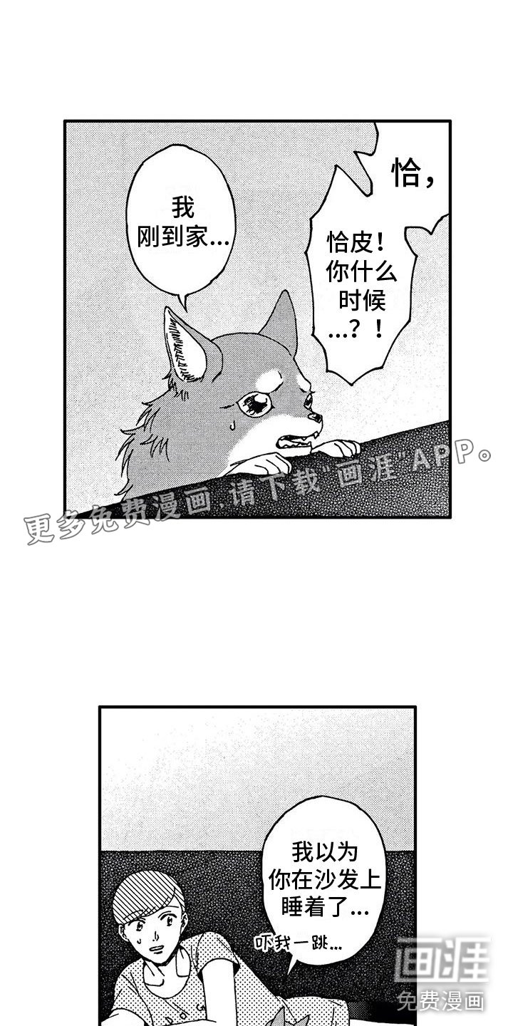 第19章：非常可爱