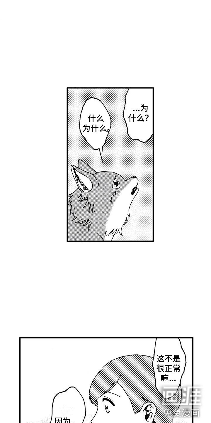 第19章：非常可爱