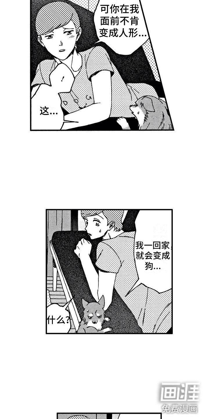 第19章：非常可爱