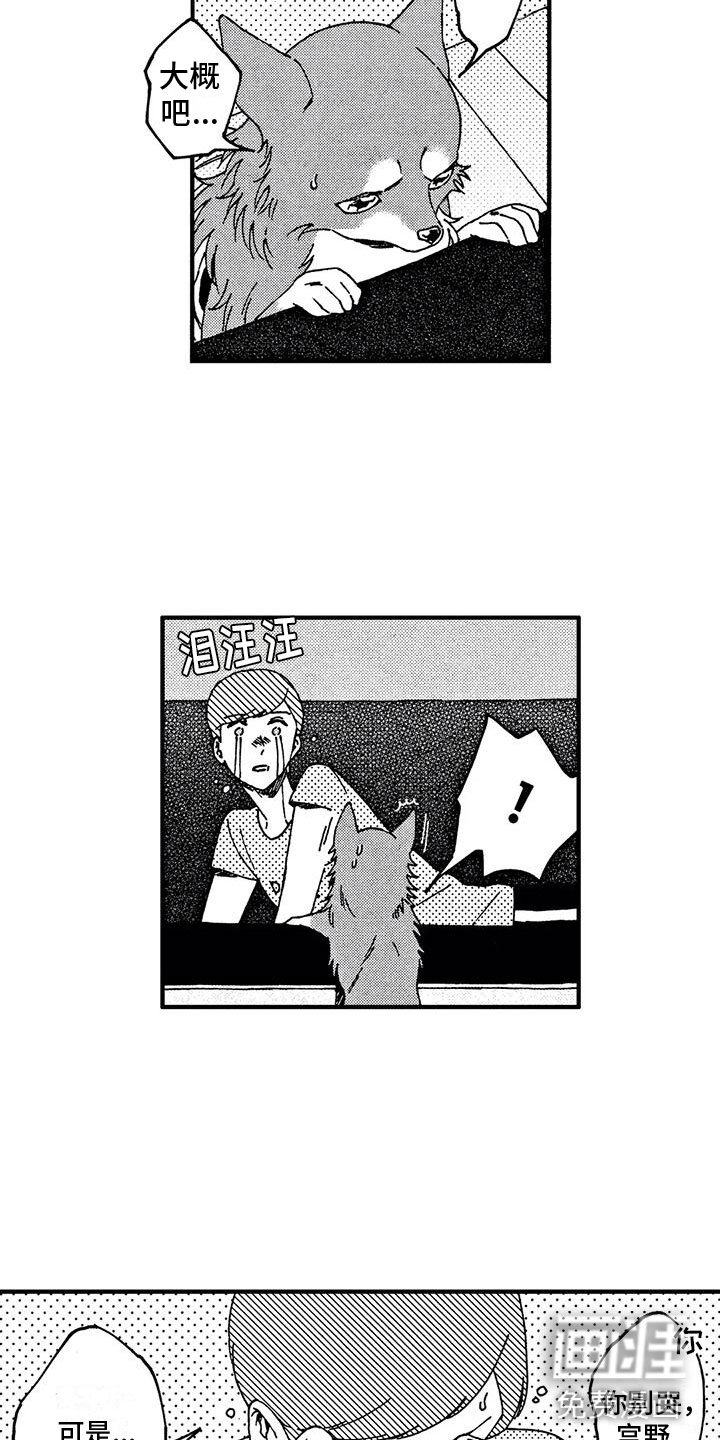第19章：非常可爱